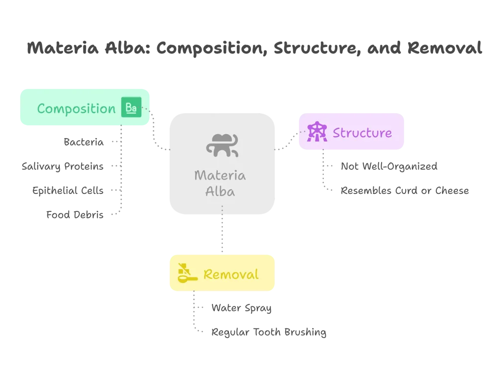 materia alba: composition, structure, and removal